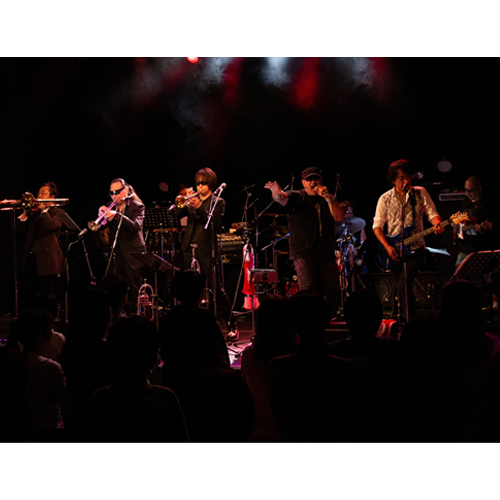 Schedule BLUES ALLEY JAPAN